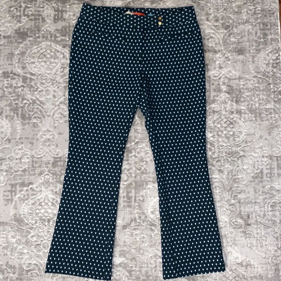 Anthropologie Pants - Anthropologie cartonnier charlie flare crop trouser size 6